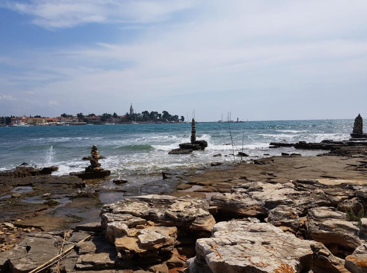 Apartman Tea Novigrad Istria Extérieur photo